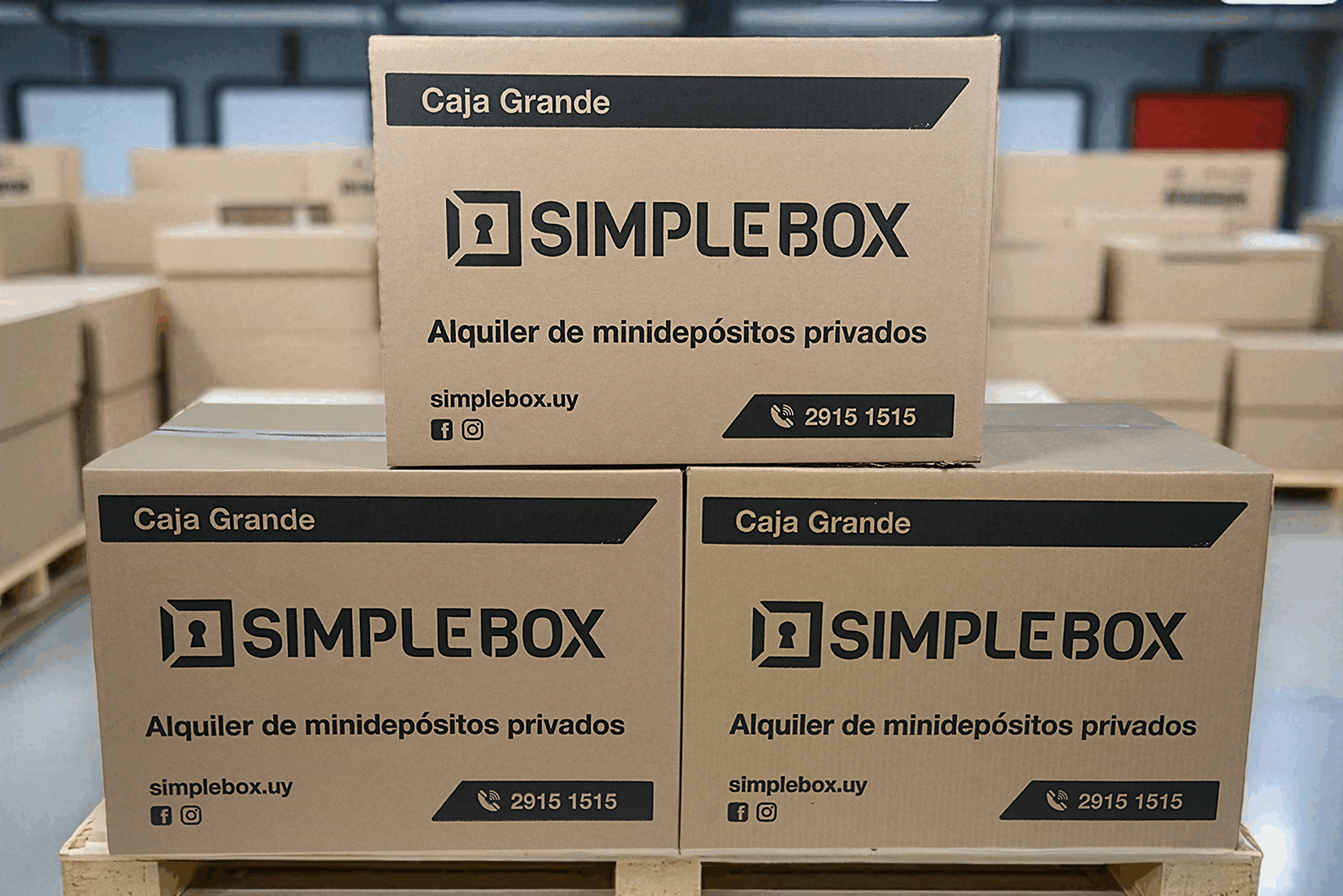 10 Cajas Grandes Premium ¡CINTA Gratis! (60x40x40cm) - Imagen 6